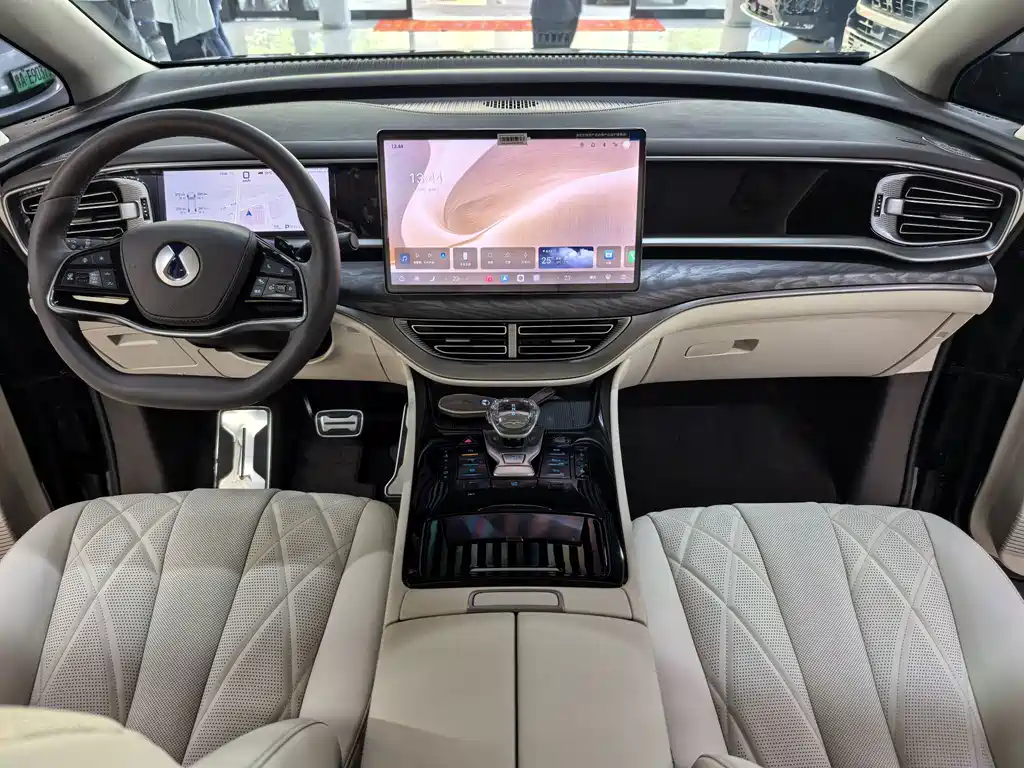 Denza Denza D9 — миниатюра 6