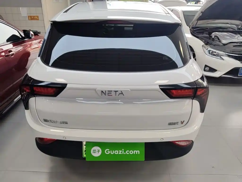 Neta Neta V — миниатюра 6
