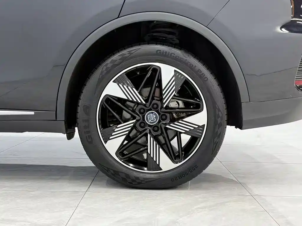 BYD Tang New Energy — миниатюра 23
