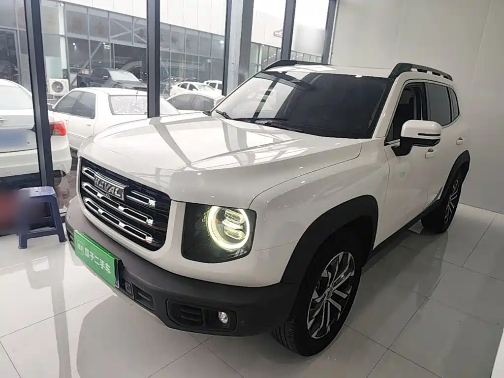 Haval Big Dog — миниатюра 2
