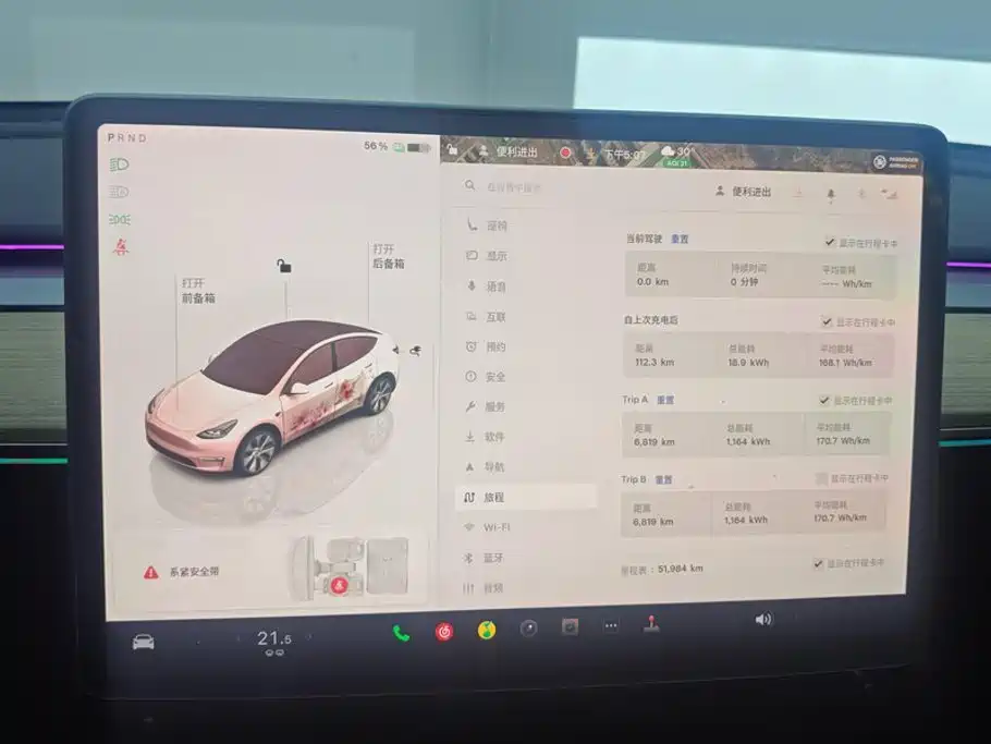 Tesla Model Y — миниатюра 14