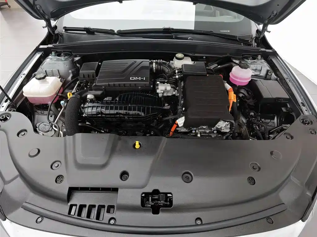 BYD Qin Plus PLUS 2024 DM-i 55KM Lead