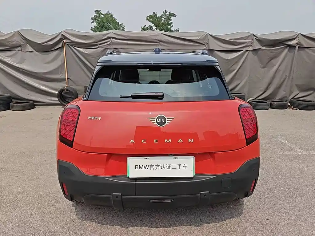 MINI MINI ACEMAN EV — миниатюра 4