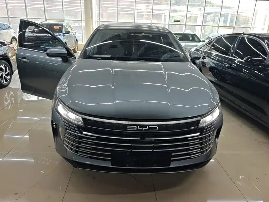 BYD Destroyer 05 2023 Champion DM-i 55KM Luxury