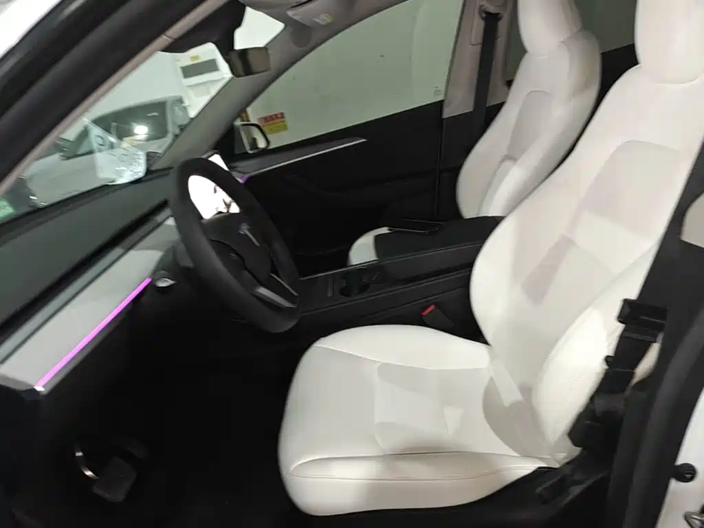 Tesla Model Y — миниатюра 15