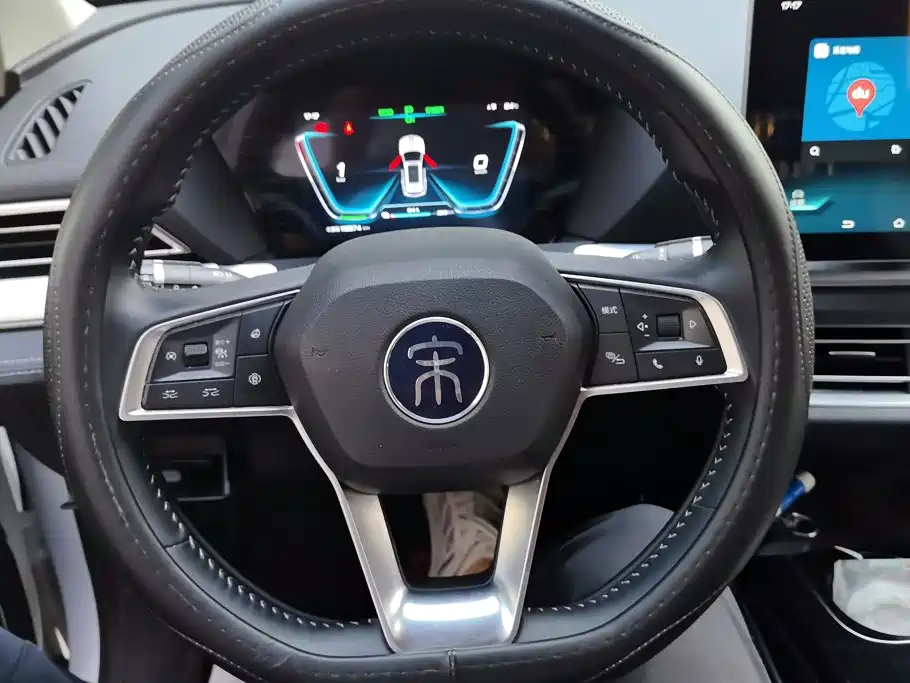 BYD Pro New Energy — миниатюра 15