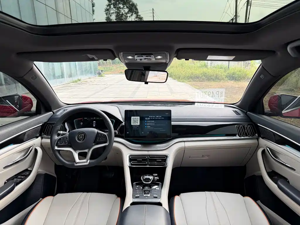 BYD PLUS New Energy — миниатюра 17