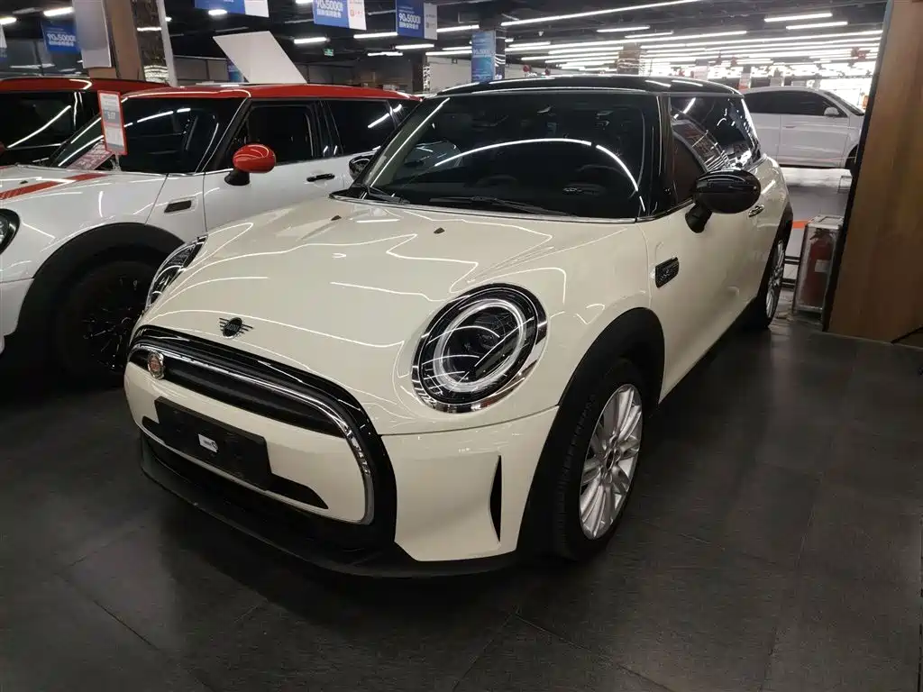 Mini Mini 2021