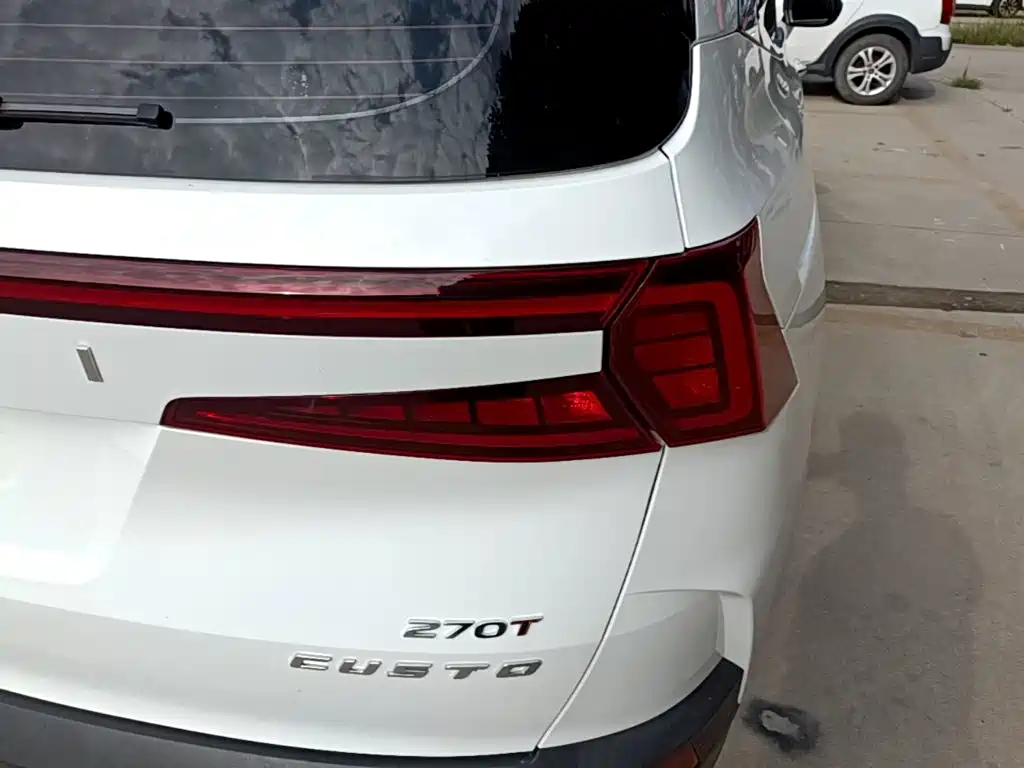 Hyundai Custo — миниатюра 8