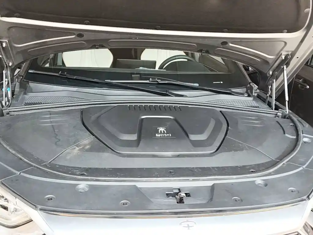 BYD PLUS New Energy — миниатюра 20