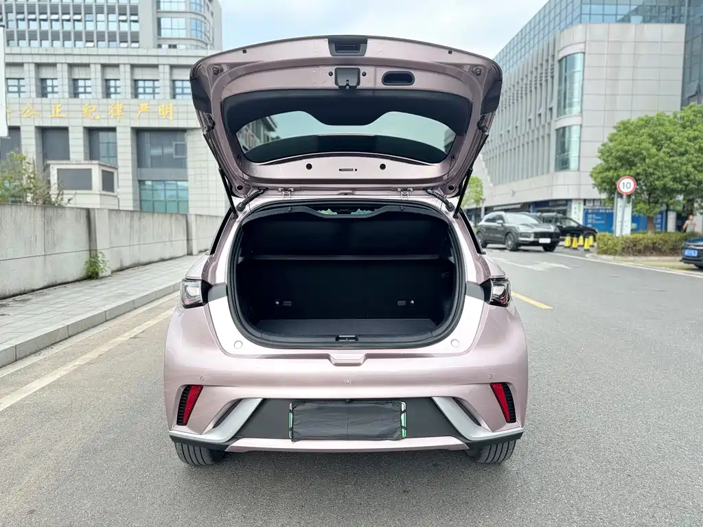 BYD Dolphin — миниатюра 19