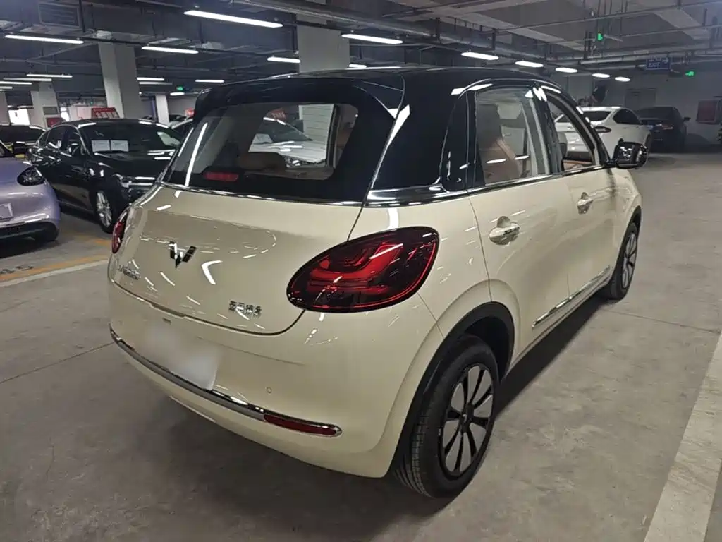Wuling Binguo 2025 333km Premium
