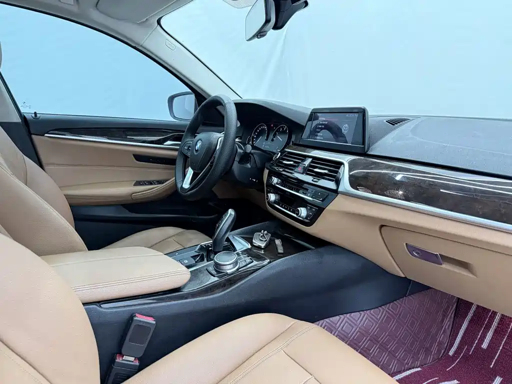 BMW 5 Series 5 2018 528Li