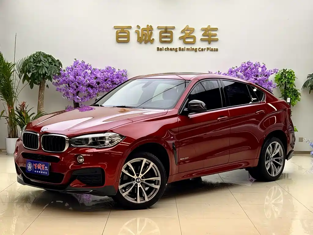 BMW X6