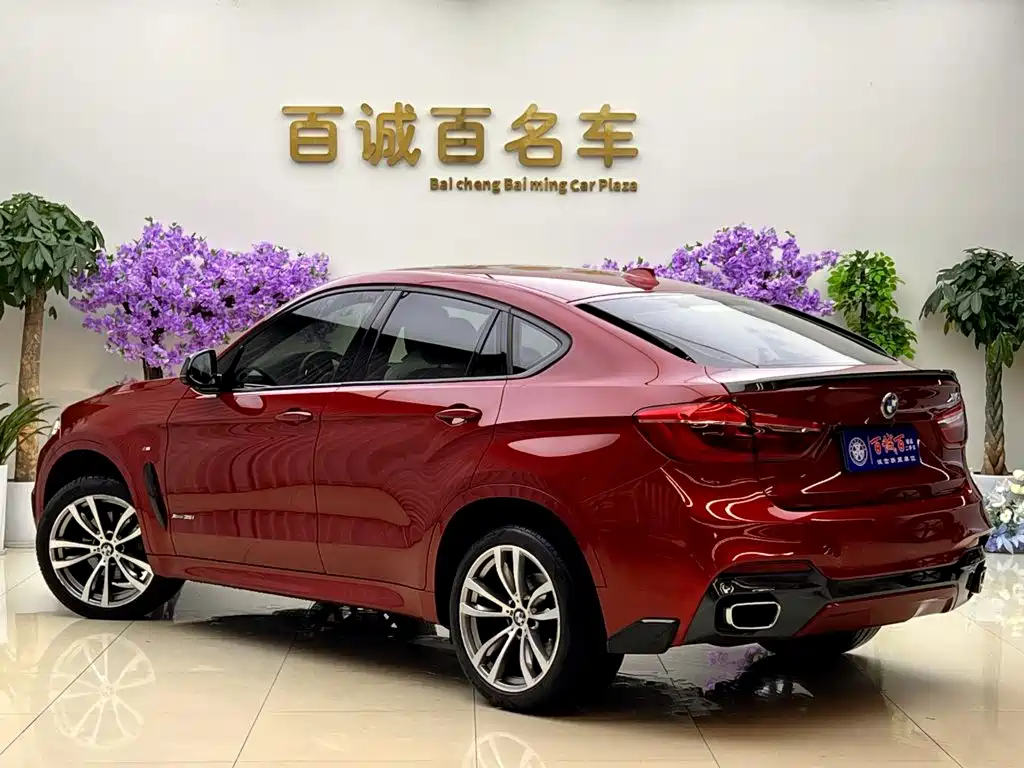 BMW X6 — миниатюра 7