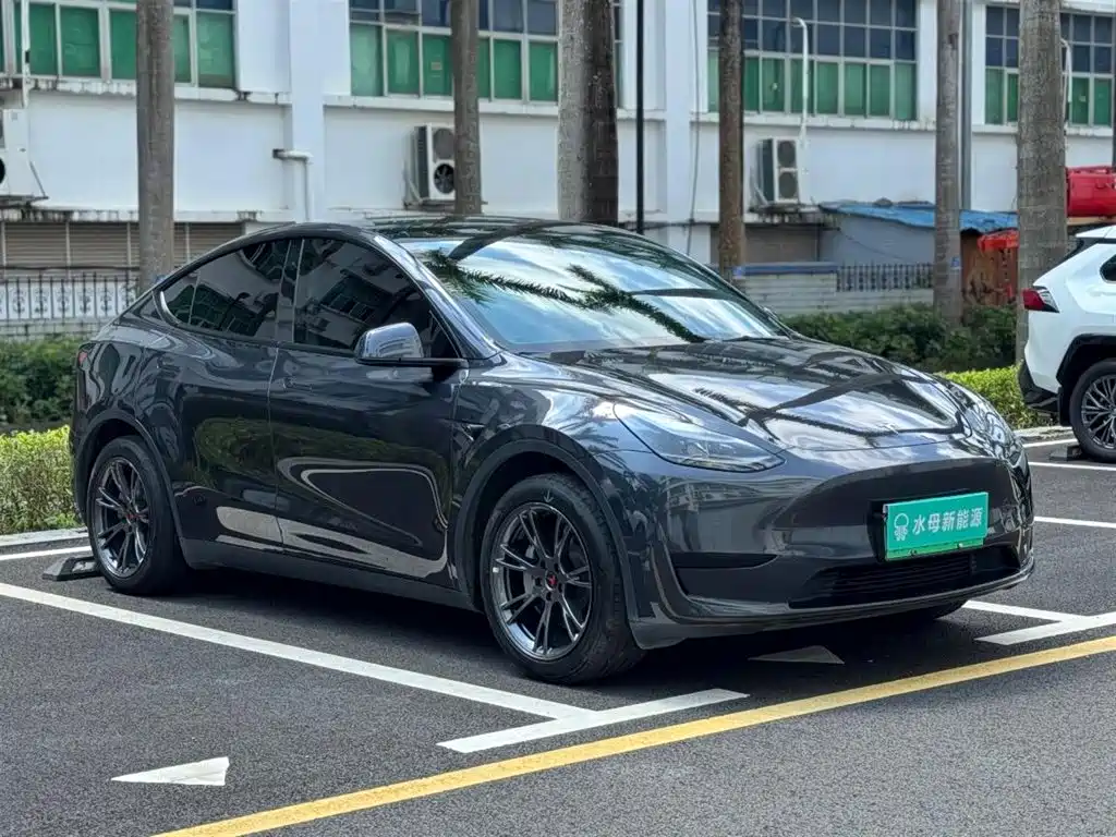 Tesla Model Y — миниатюра 10
