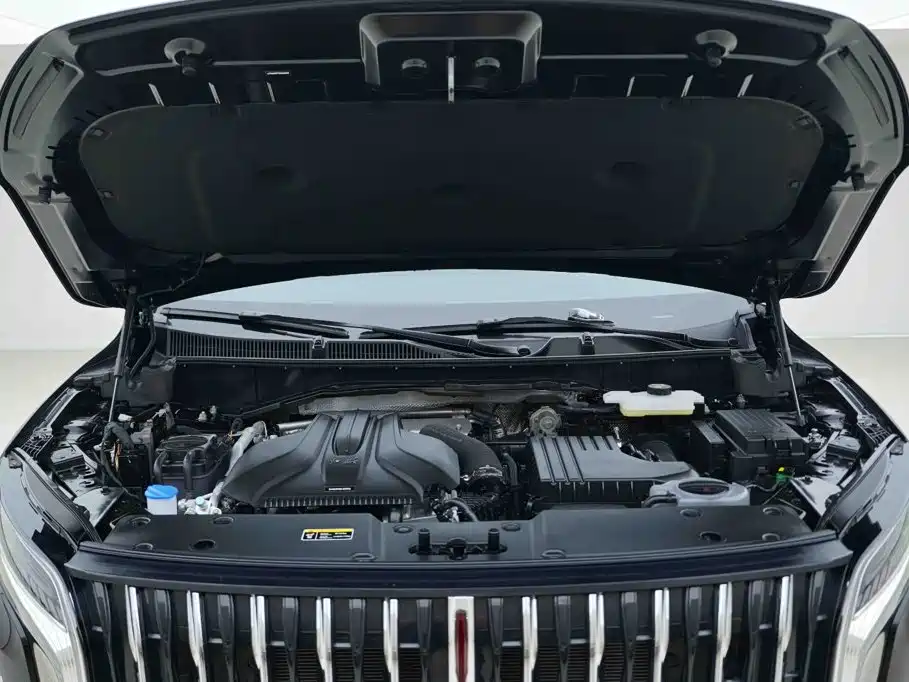 Hongqi Hongqi HS7 PHEV — миниатюра 6