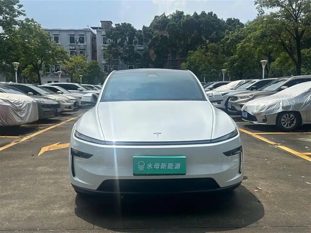 Tesla Model Y — миниатюра 2