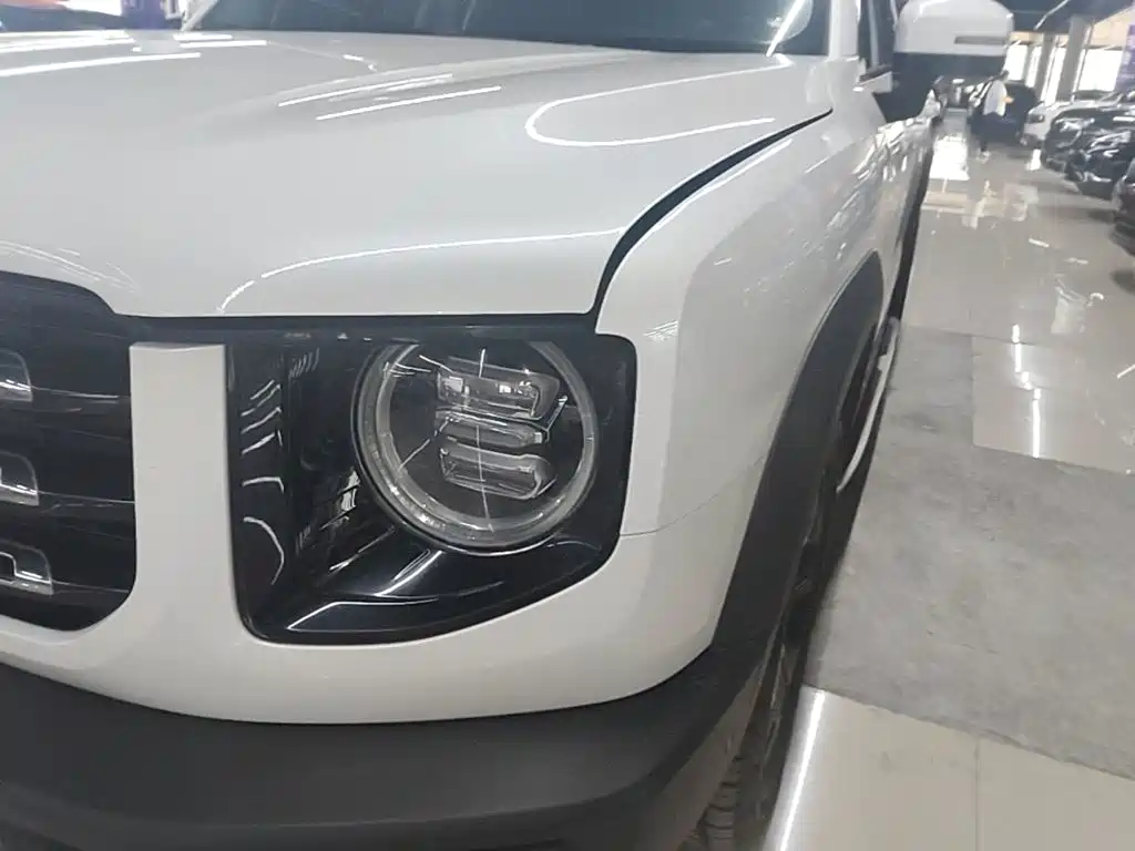 Haval Big Dog — миниатюра 24