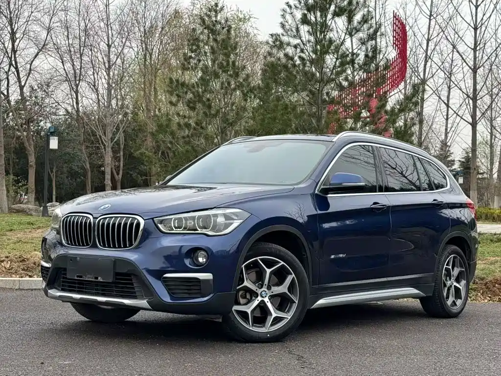 BMW X1 — миниатюра 2