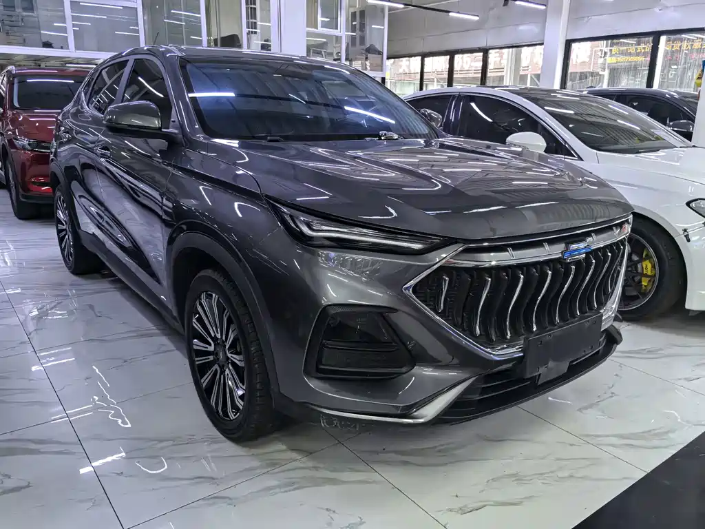Oshan Oushang X5 — миниатюра 3