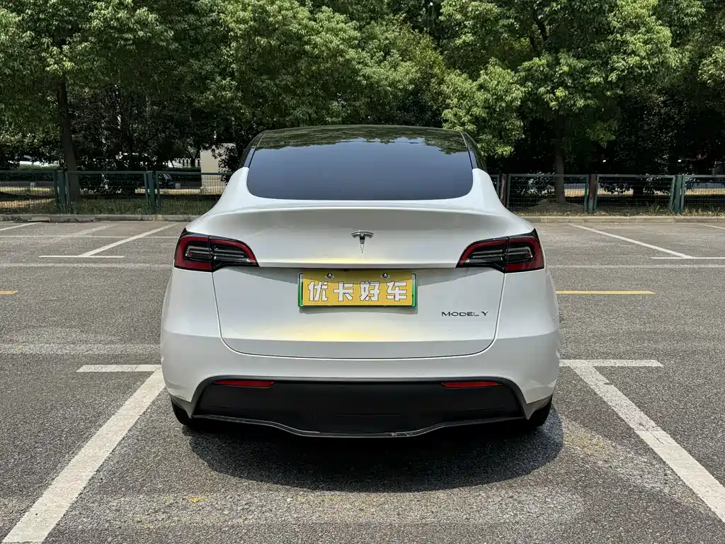 Tesla Model Y — миниатюра 4