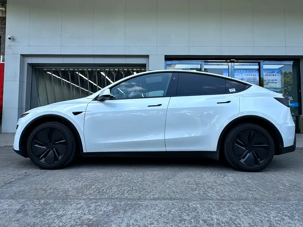 Tesla Model Y — миниатюра 2