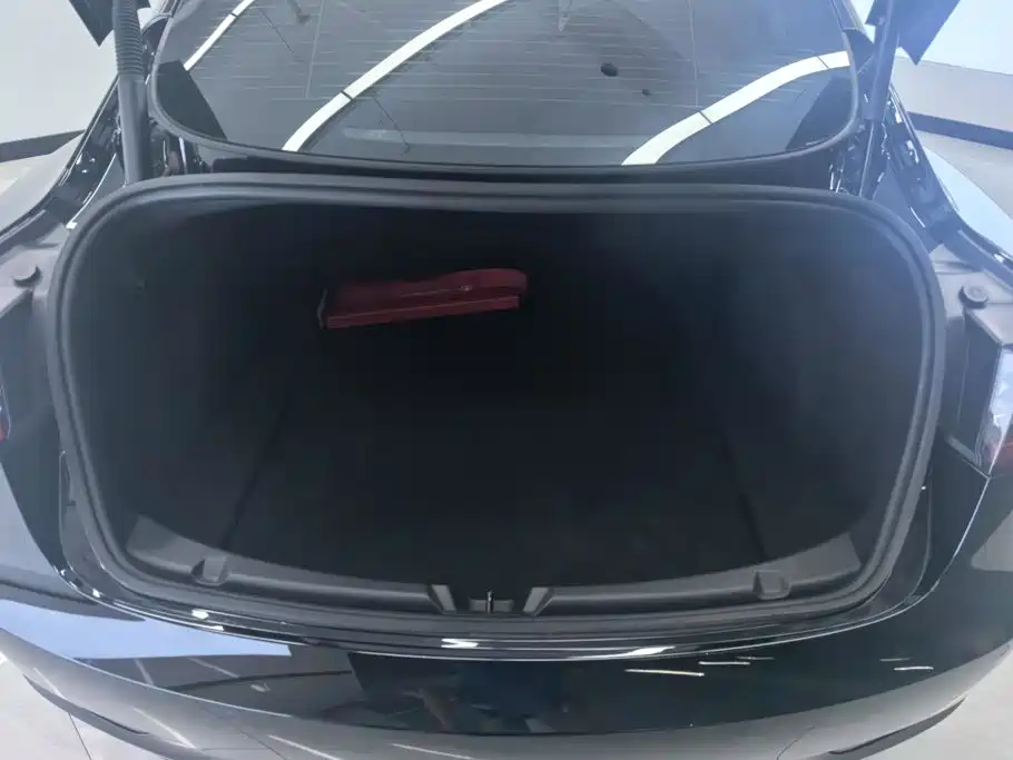 Tesla Model 3 — миниатюра 4