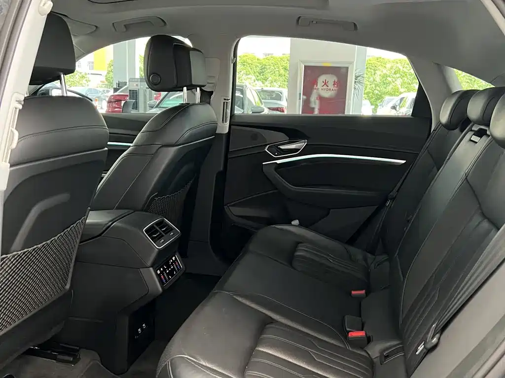 Audi e-tron (Import) — миниатюра 12