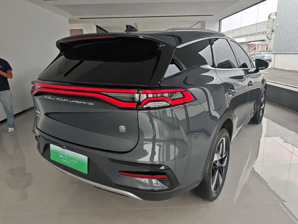 BYD Tang New Energy — миниатюра 7