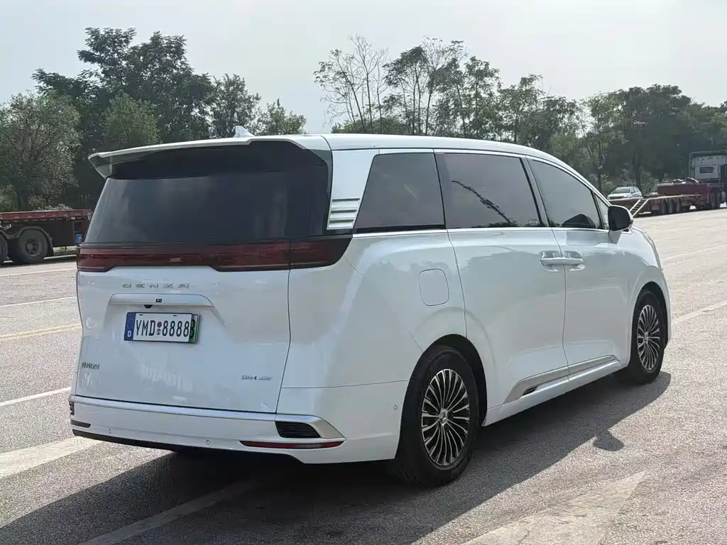 Denza Denza D9 — миниатюра 14