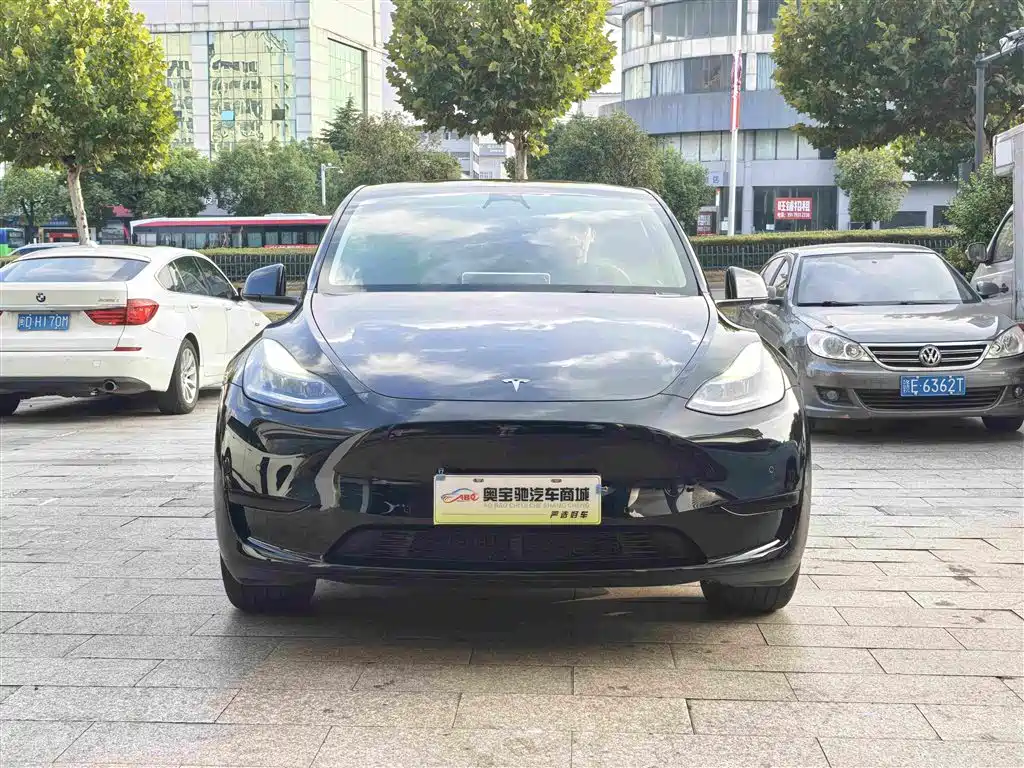 Tesla Model Y — миниатюра 2