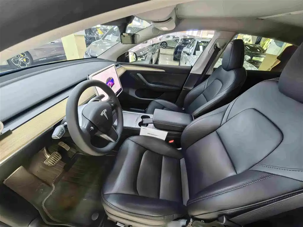Tesla Model Y — миниатюра 4