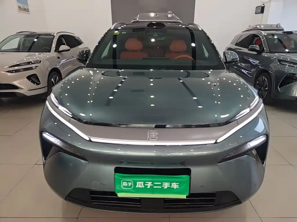 BYD Дон Л. — миниатюра 3