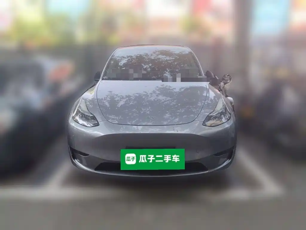 Tesla Model Y — миниатюра 2