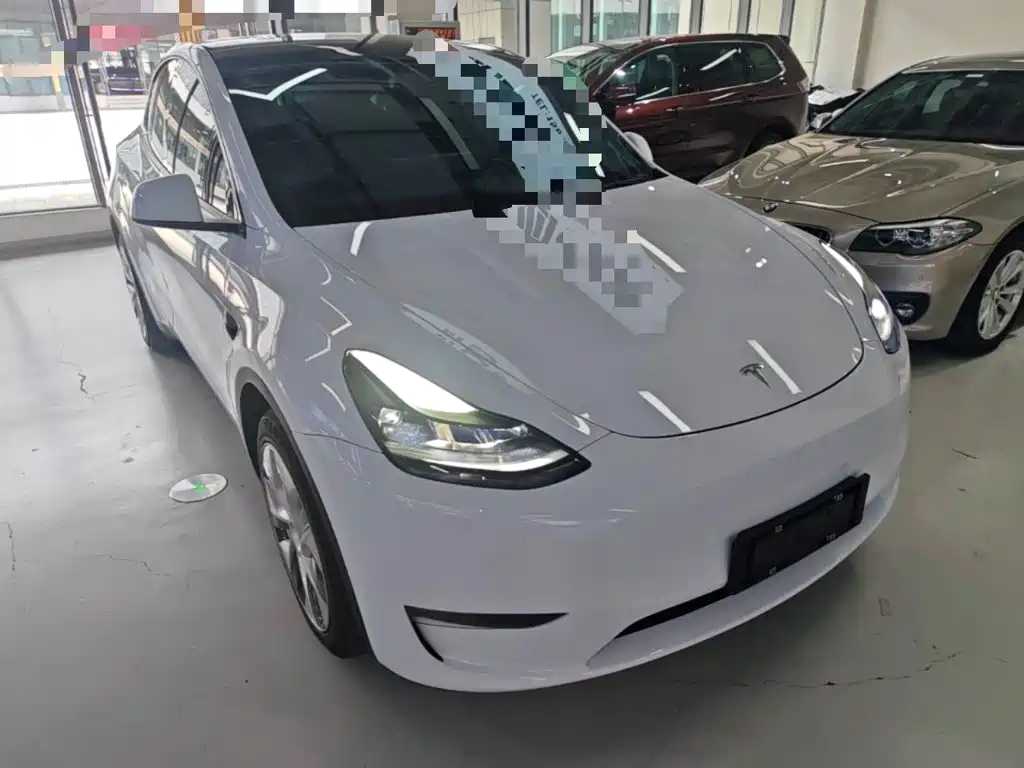 Tesla Model Y — миниатюра 4
