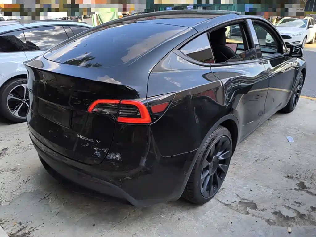 Tesla Model Y — миниатюра 7