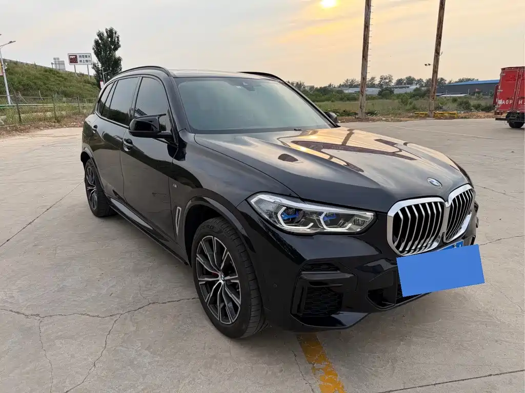 BMW X5 2022 xDrive 30Li Premium M Sport