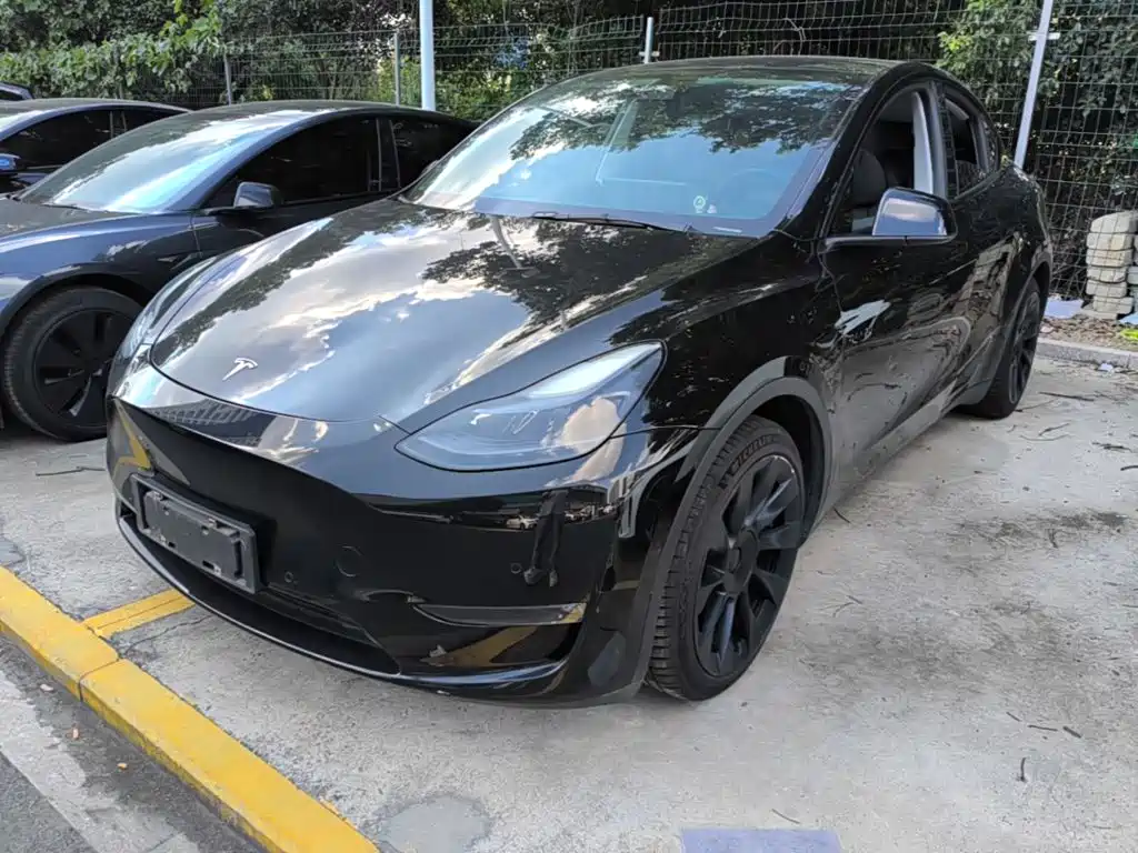 Tesla Model Y — миниатюра 2