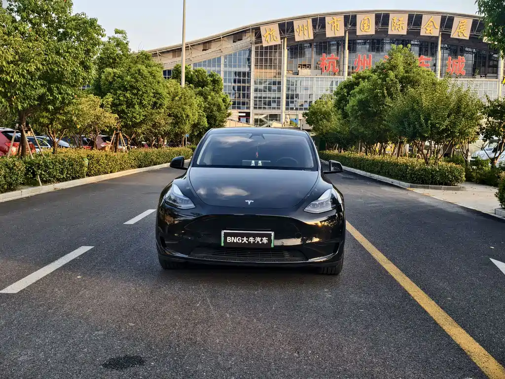 Tesla Model Y — миниатюра 2