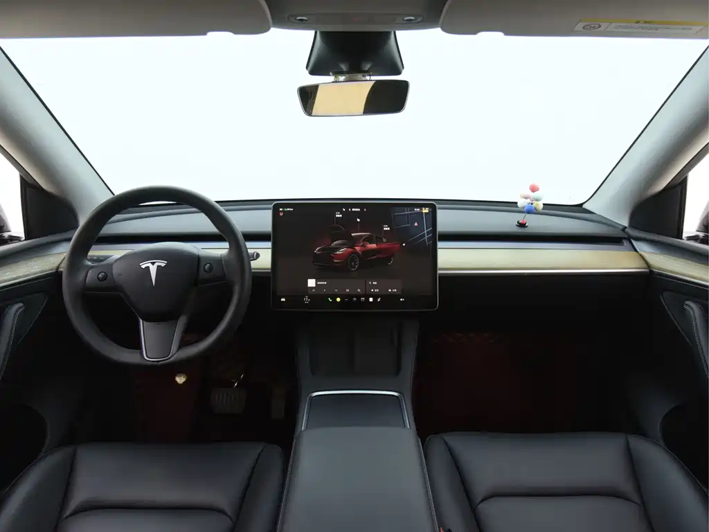 Tesla Model Y — миниатюра 28