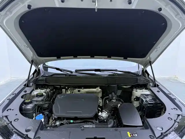Haval Xiaolong MAX — миниатюра 20