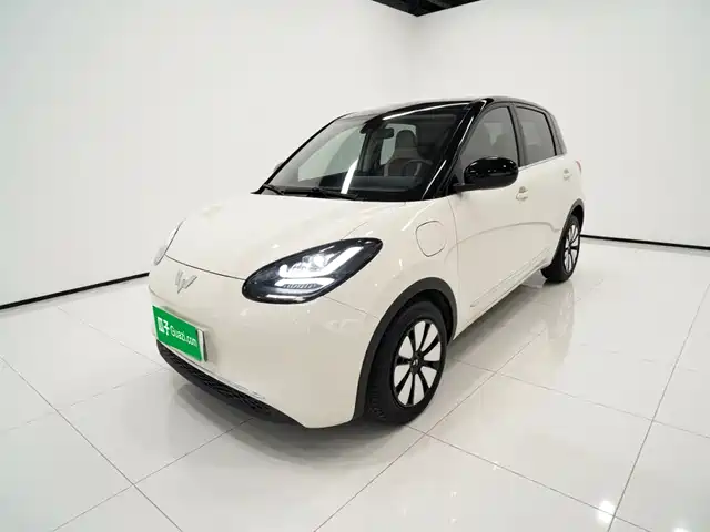 2024 Wuling Motors Binguo