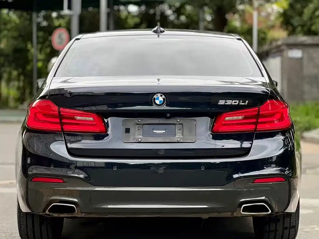BMW 5 Series — миниатюра 4