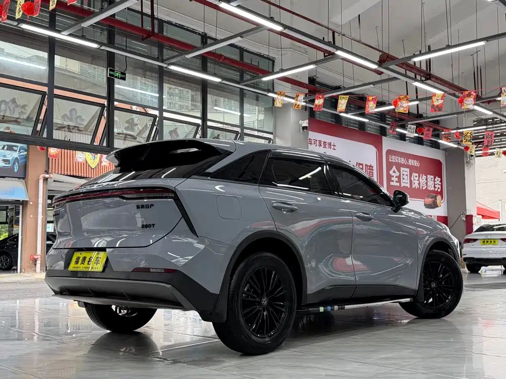 Venucia V 2022 260T