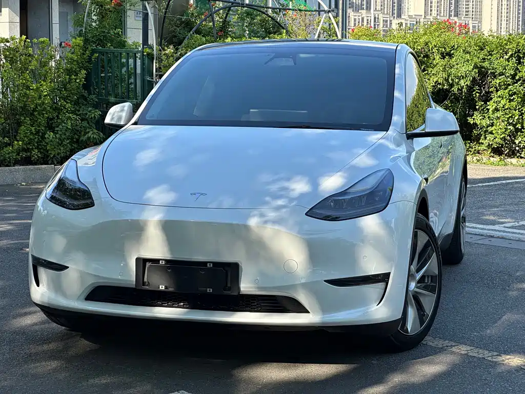 Tesla Model Y — миниатюра 2