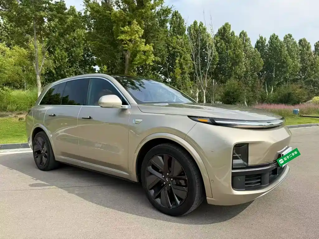 Li Auto Li L8 — миниатюра 4