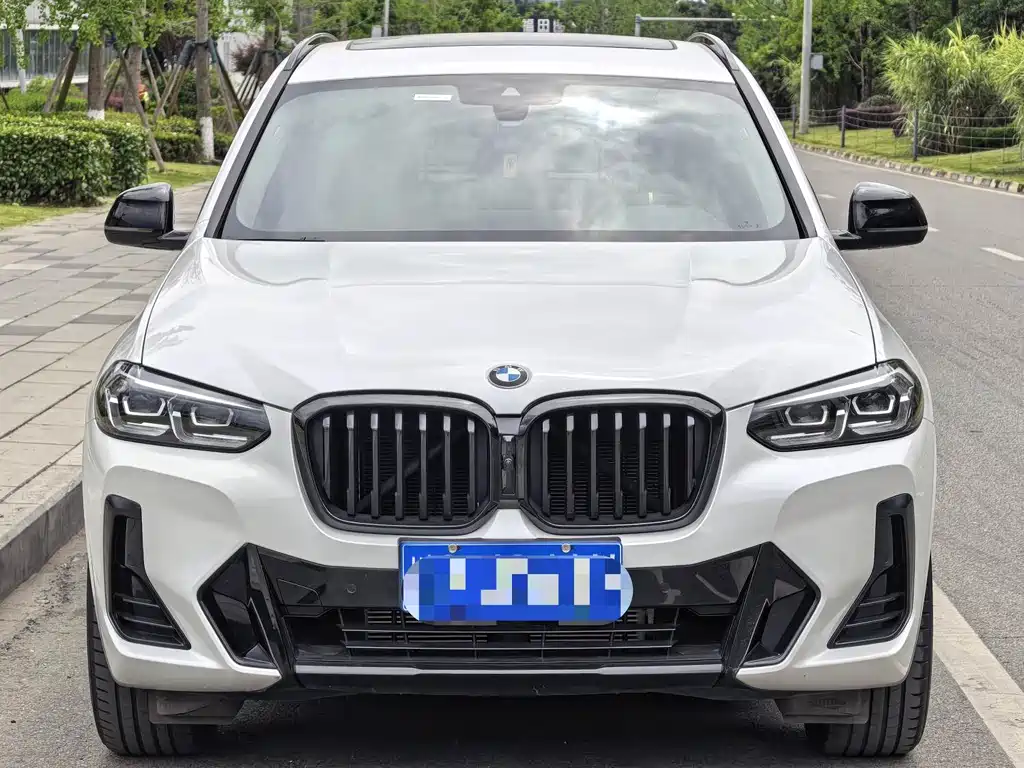 BMW X3 — миниатюра 2