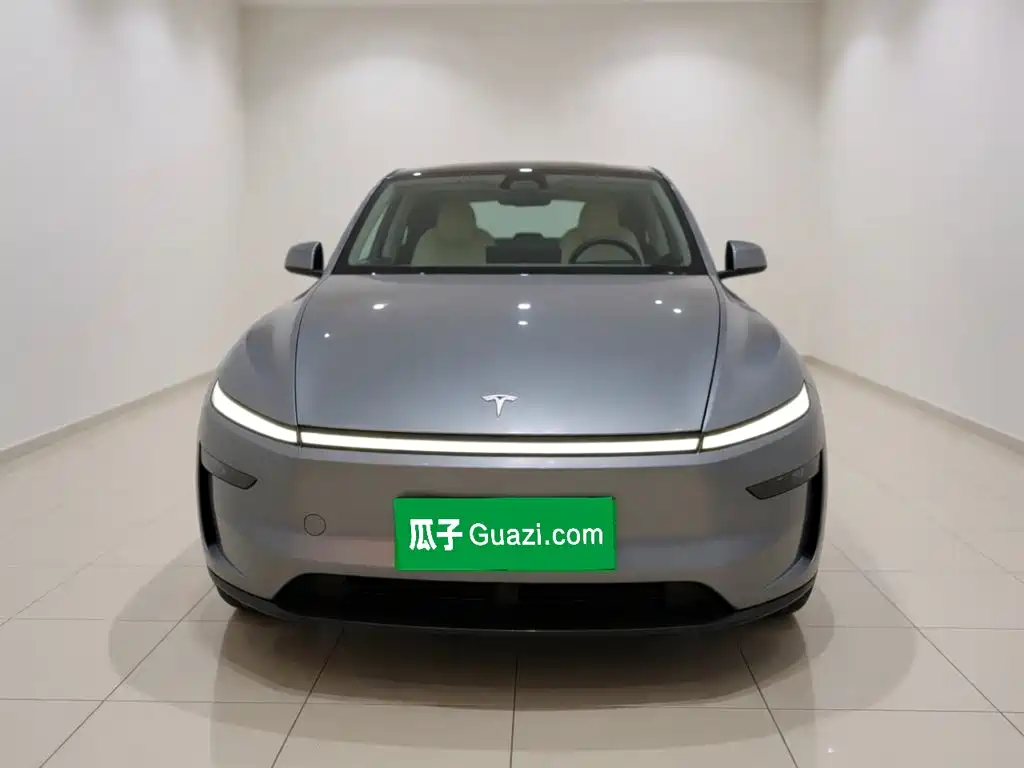 Tesla Model Y — миниатюра 23
