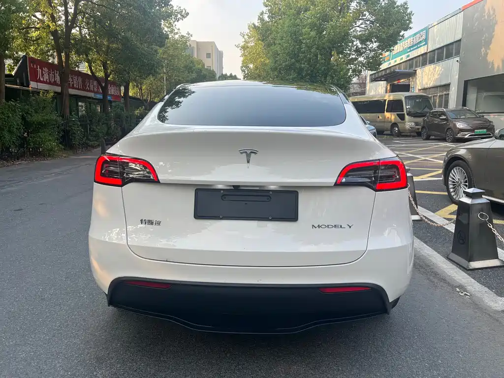 Tesla Model Y — миниатюра 5